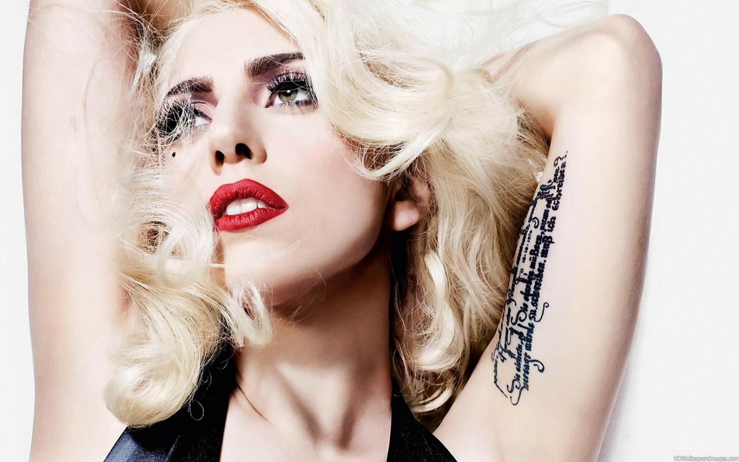 Lady Gaga الليدي غاغا