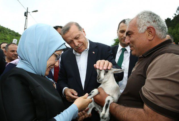اردوغان مع السيدة الاولى يداعبان ماعزاً من ممثل كومبارس