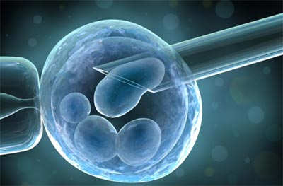 الخلايا الجذعية وأهميتها