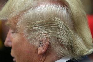 لقطة مقربة من شعر دونالد ترامب