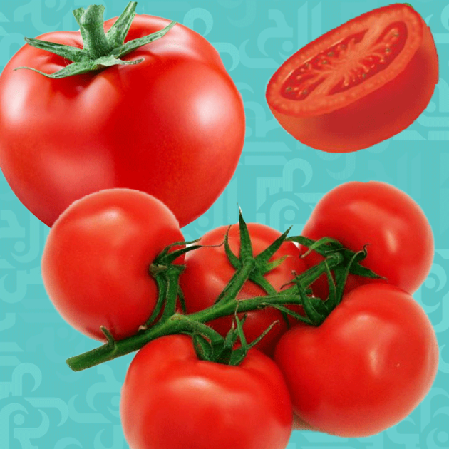 الطماطم – البندورة وفوائدها | مجلة الجرس