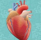 عشرون نوعاً للقلوب في القرآن.. تعرف على نوع قلبك!