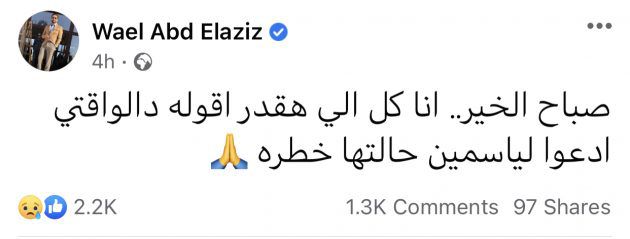 شقيق ياسمين عبد العزيز يؤكد حالتها خطيرة