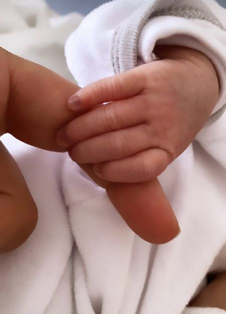 فارس كرم يرزق بمولودته الأولى - صورة