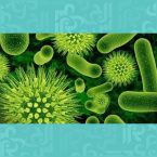 د. وليد ابودهن: أماكن وأشياء تتهدّدها البكتيريا