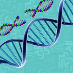 كيف نعرف الأصل الجيني لكل شخص وما خطورته؟