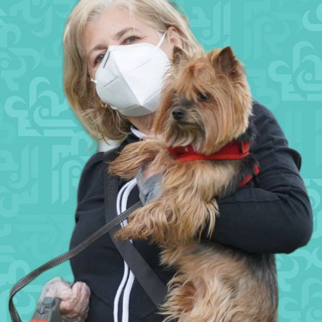 هل ينتقل (انفلونزا الكلاب) إلى البشر؟