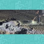 تمساح تحت الرمال والحقيقة مختلفة! - صورة