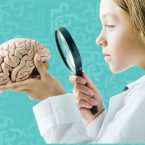 ما هي الأمراض والنشاطات التي تضر المخ