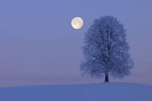 Full snow Moon