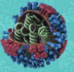 احذروا من H1N1 هذه اعراضه وطرق علاجه