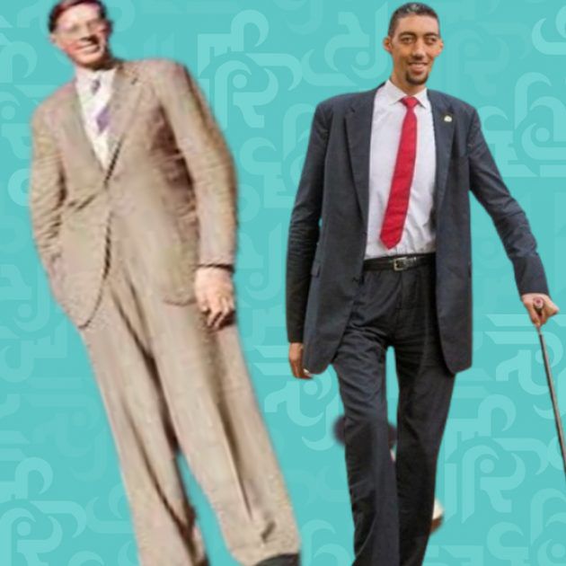لماذا كان الانسان أطول؟