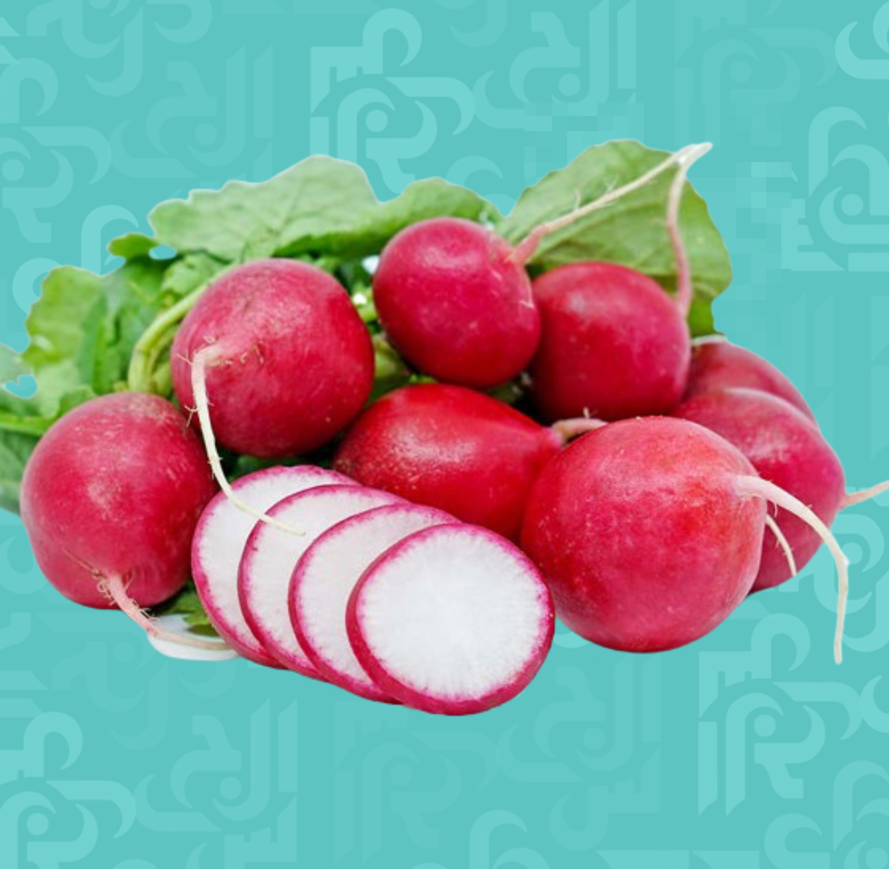 فوائد الفجل | مجلة الجرس