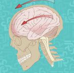ارتجاج المخ يتسبب بفقدان الذاكرة؟ - دراسة