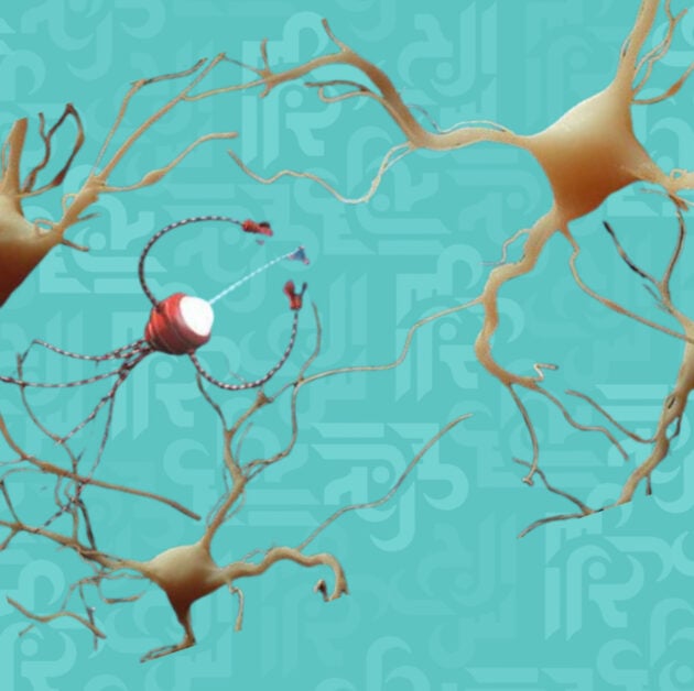 الخلايا الميتة تعود للحياة بعد الموت؟ - دراسة جديدة