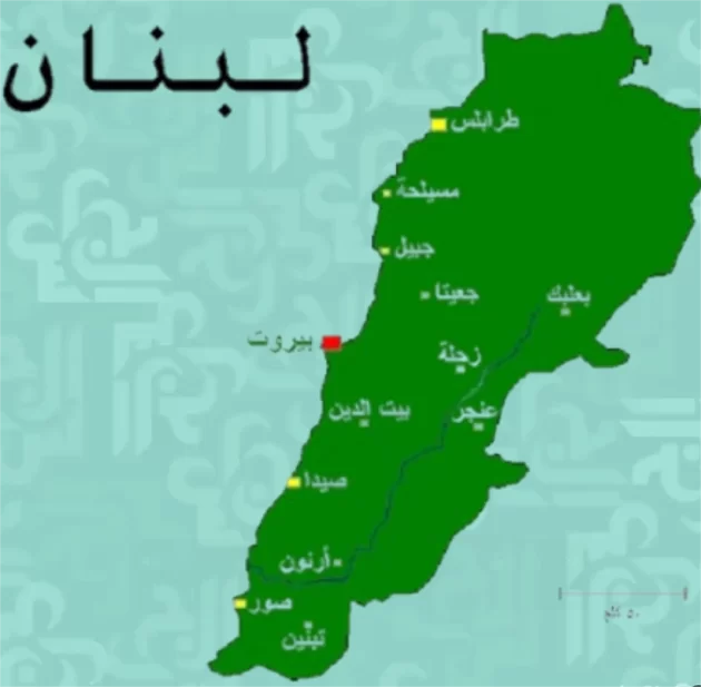 نضال الاحمدية: سر صمود اللبناني رغم سقوط الدولة، هل الفردانية عبقرية أم سلوك دفاعي؟ 
