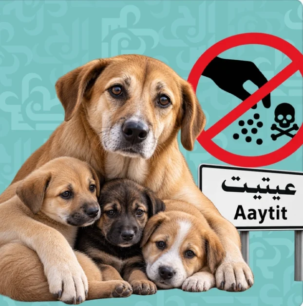 أهالي عيتنيت يطالبون بكشف المتورطين في تسميم الكلاب ومحاسبتهم – الجرس