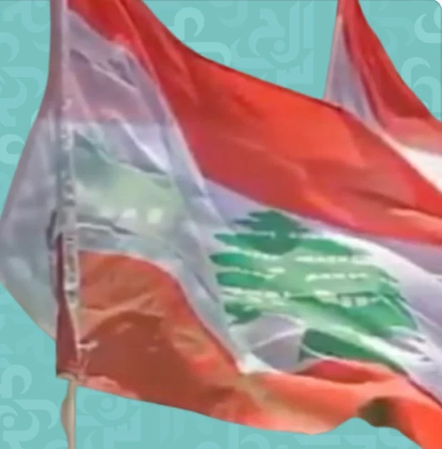 نضال الأحمدية: لبنان قضيتي لا فلسطين